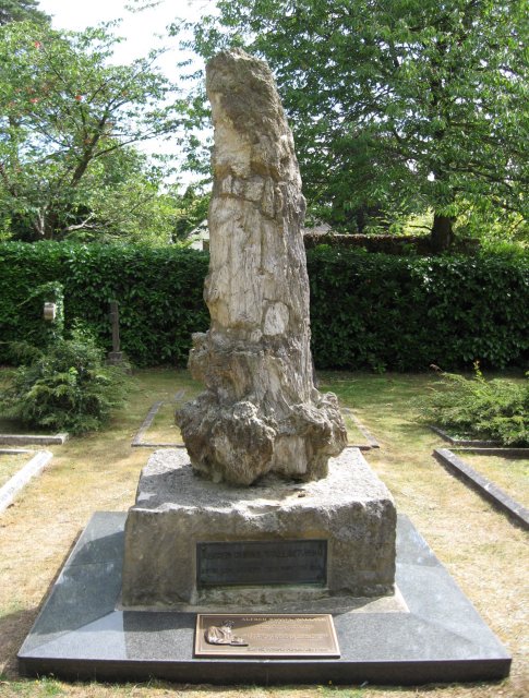 9. Fossil Tree