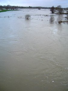 The Stour and floodplain, winter 2000
