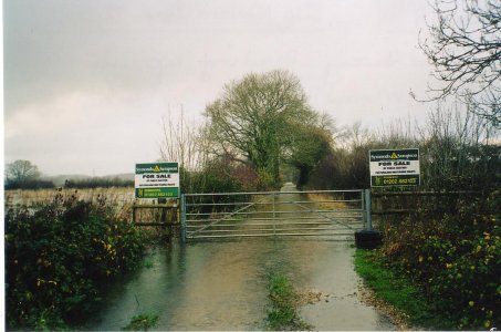 Approach bridleway to Bear Mead, winter 2002