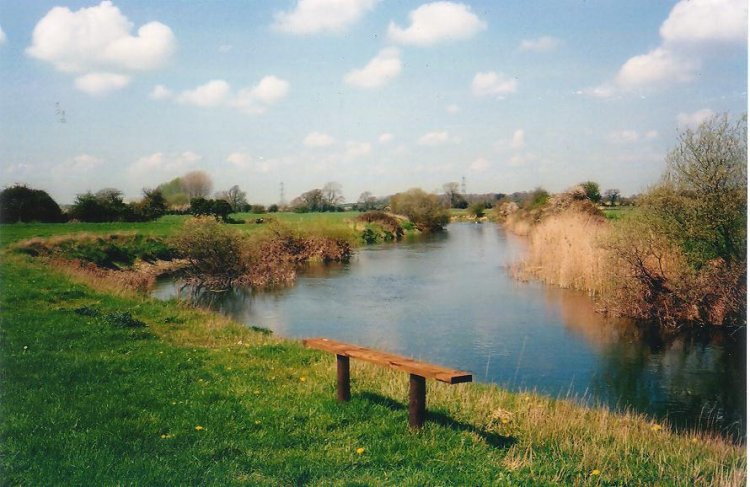Stour at Bear Mead, looking West