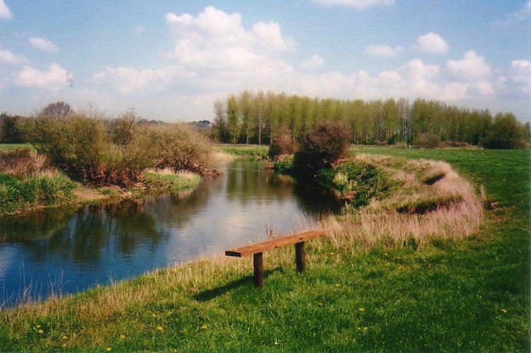 Stour at Bear Mead, looking East