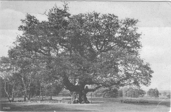 12, Val 22484, dated 1904