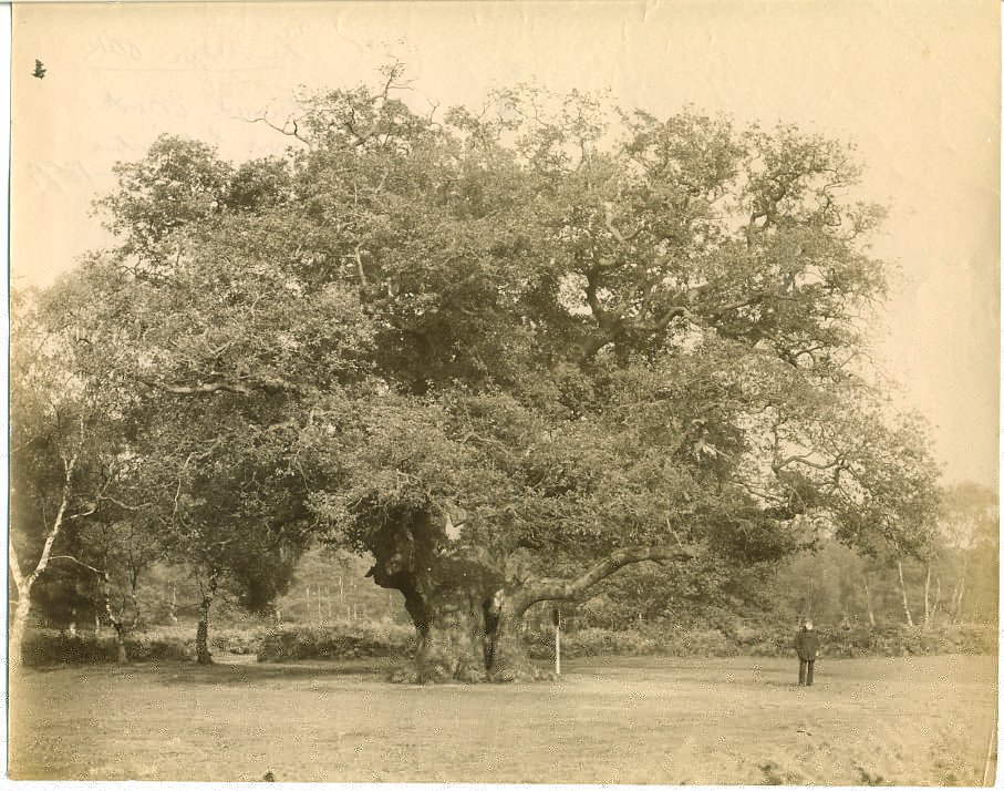 140, 1899 on back, sign, no chains