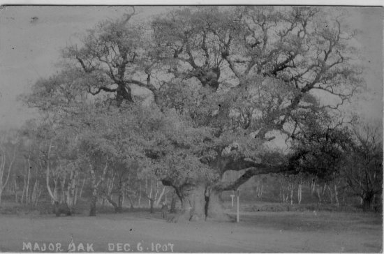 151, dated 6 Dec 1907