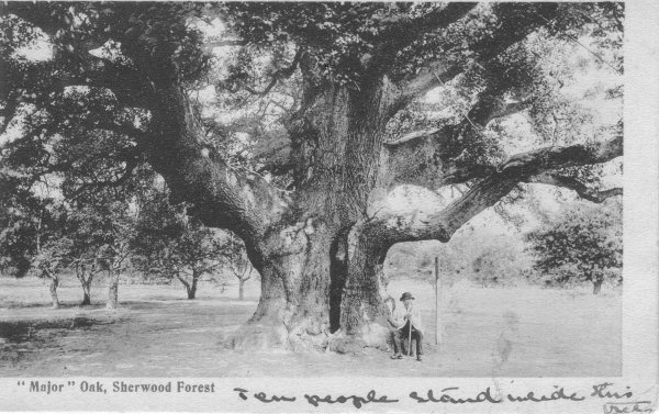 152, posted 12 Jul 1905