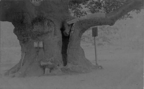 153, posted 18 Apr 1906