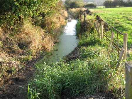 Old Mill Stream, looking South