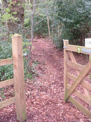 Entrance to the Wood on Corfe Lodge Road